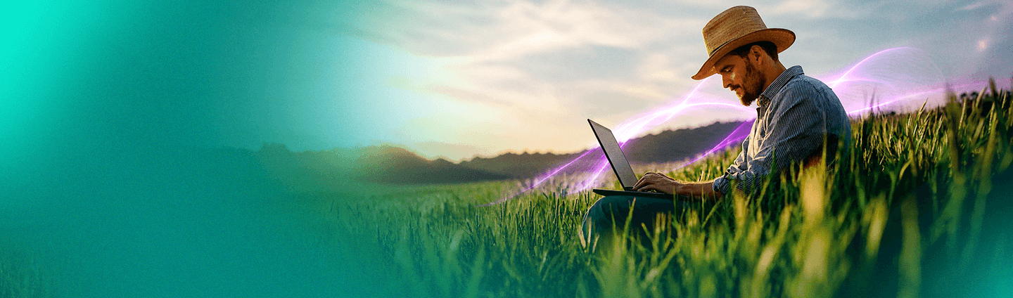 Internet rural